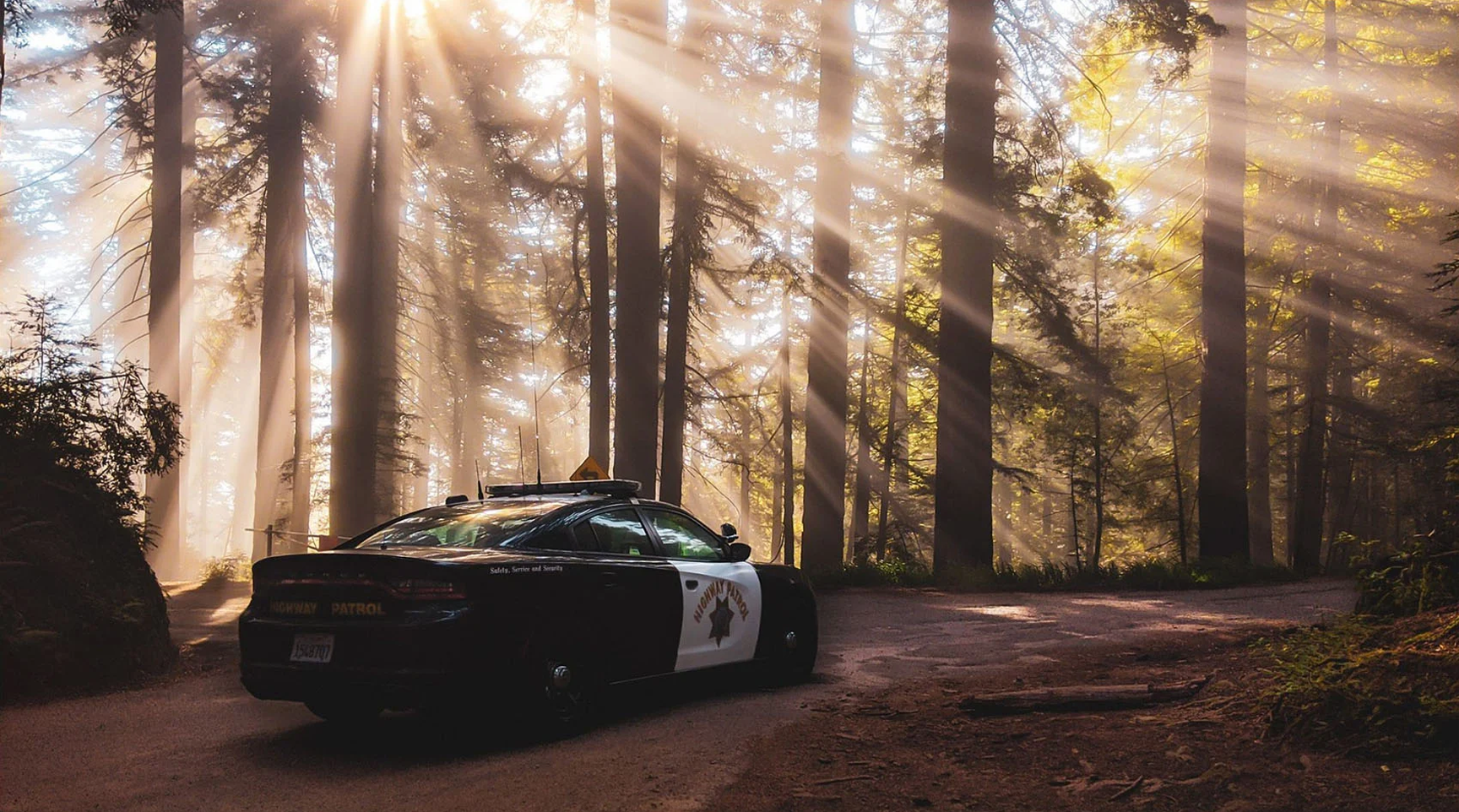 Collective Data - EDC